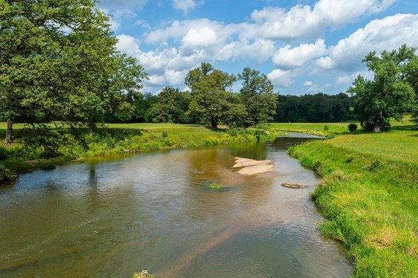 Les meilleures applications de nutrition pour réussir votre perte de poids